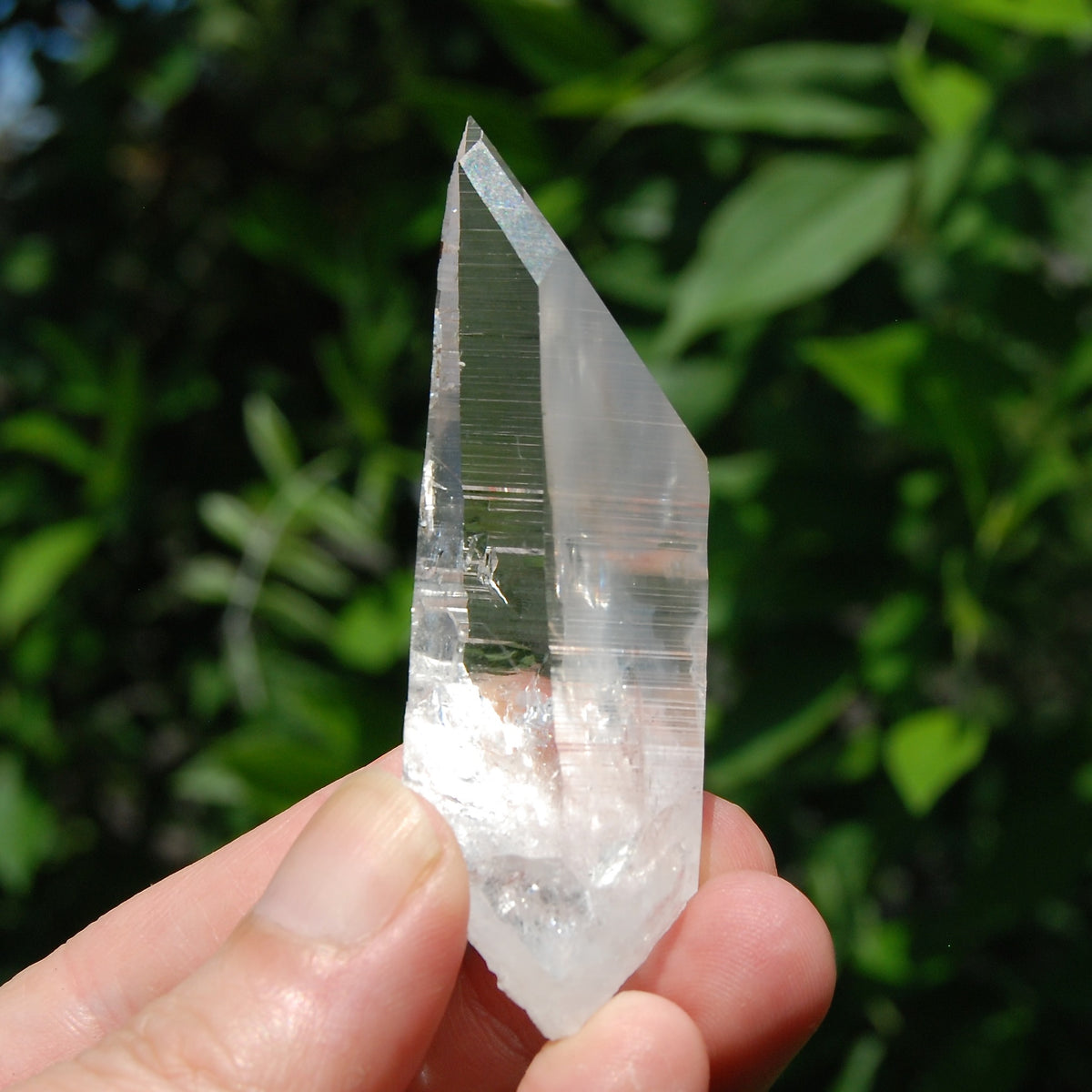 Colombian Lemurian Crystal for Sale 