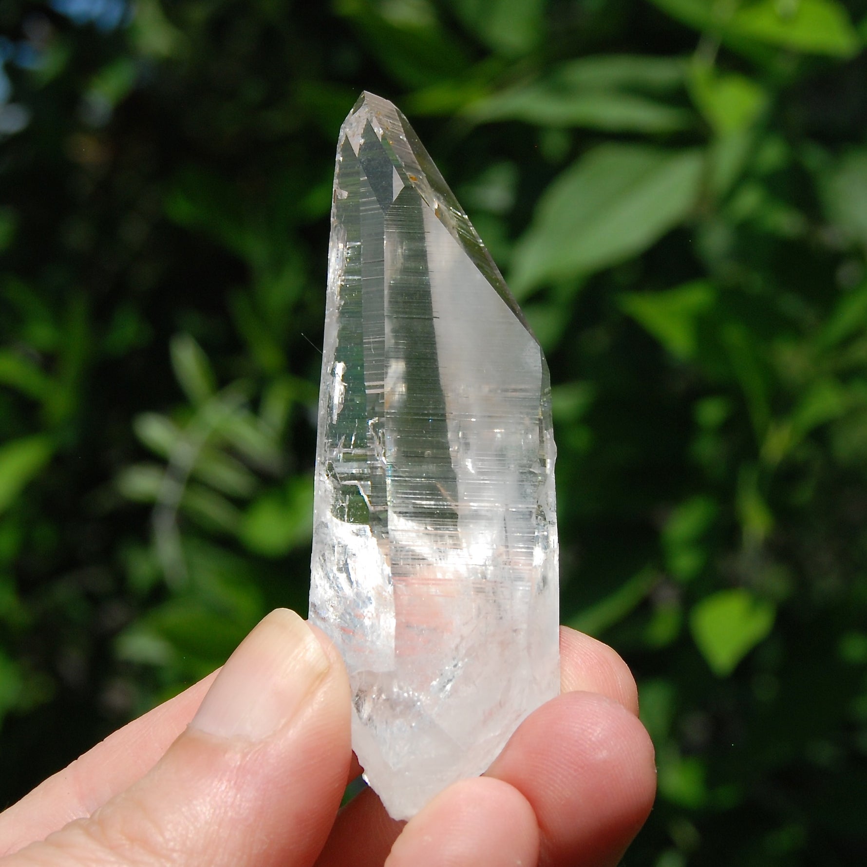 Colombian Lemurian Crystal for Sale 