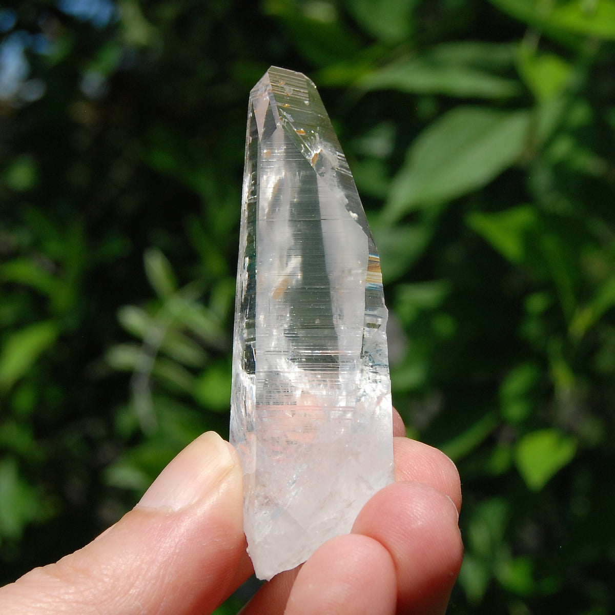 Colombian Lemurian Crystal for Sale 