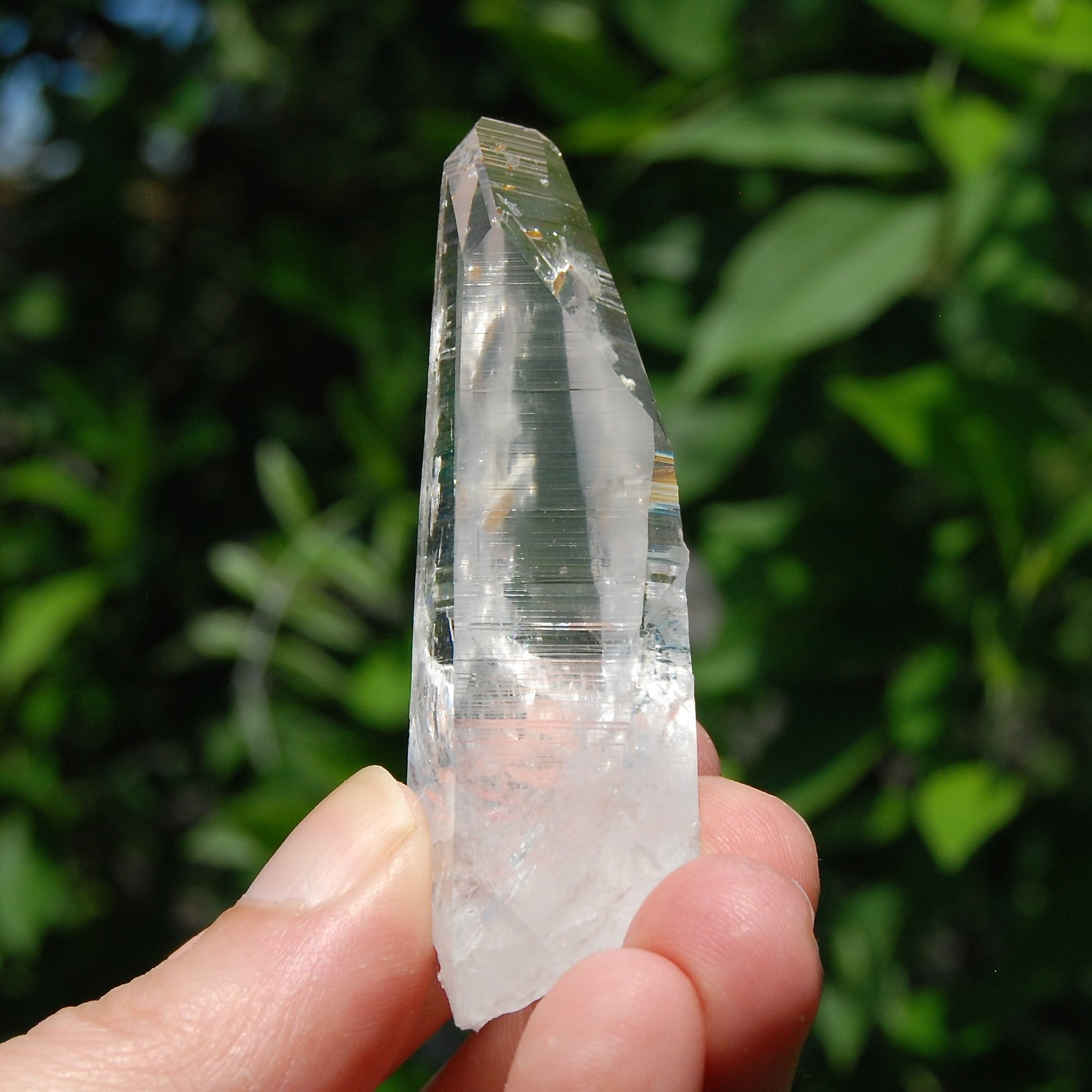 Colombian Lemurian Crystal for Sale 