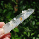 Colombian Lemurian Seed Quartz Crystal