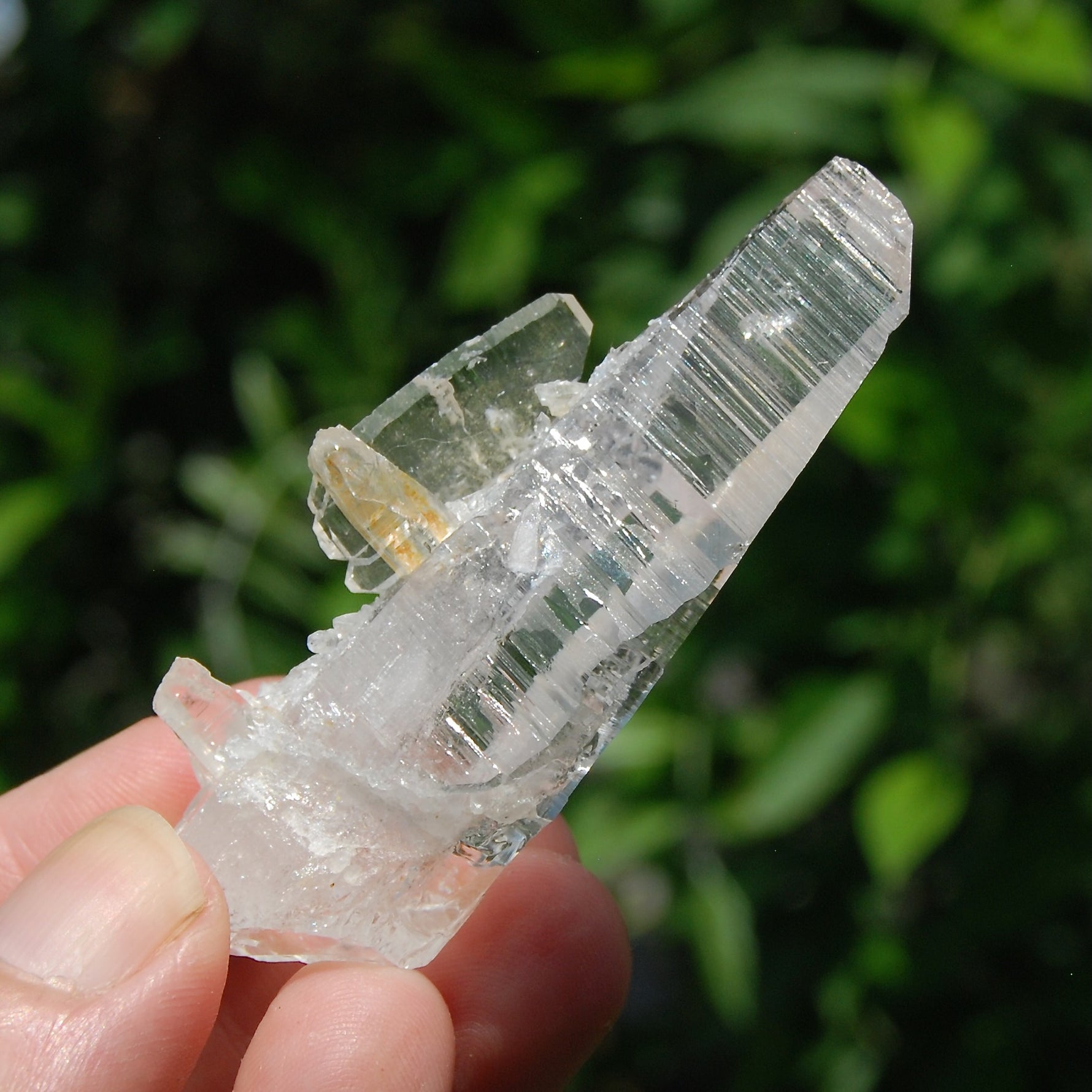Colombian Lemurian Quartz Crystal 