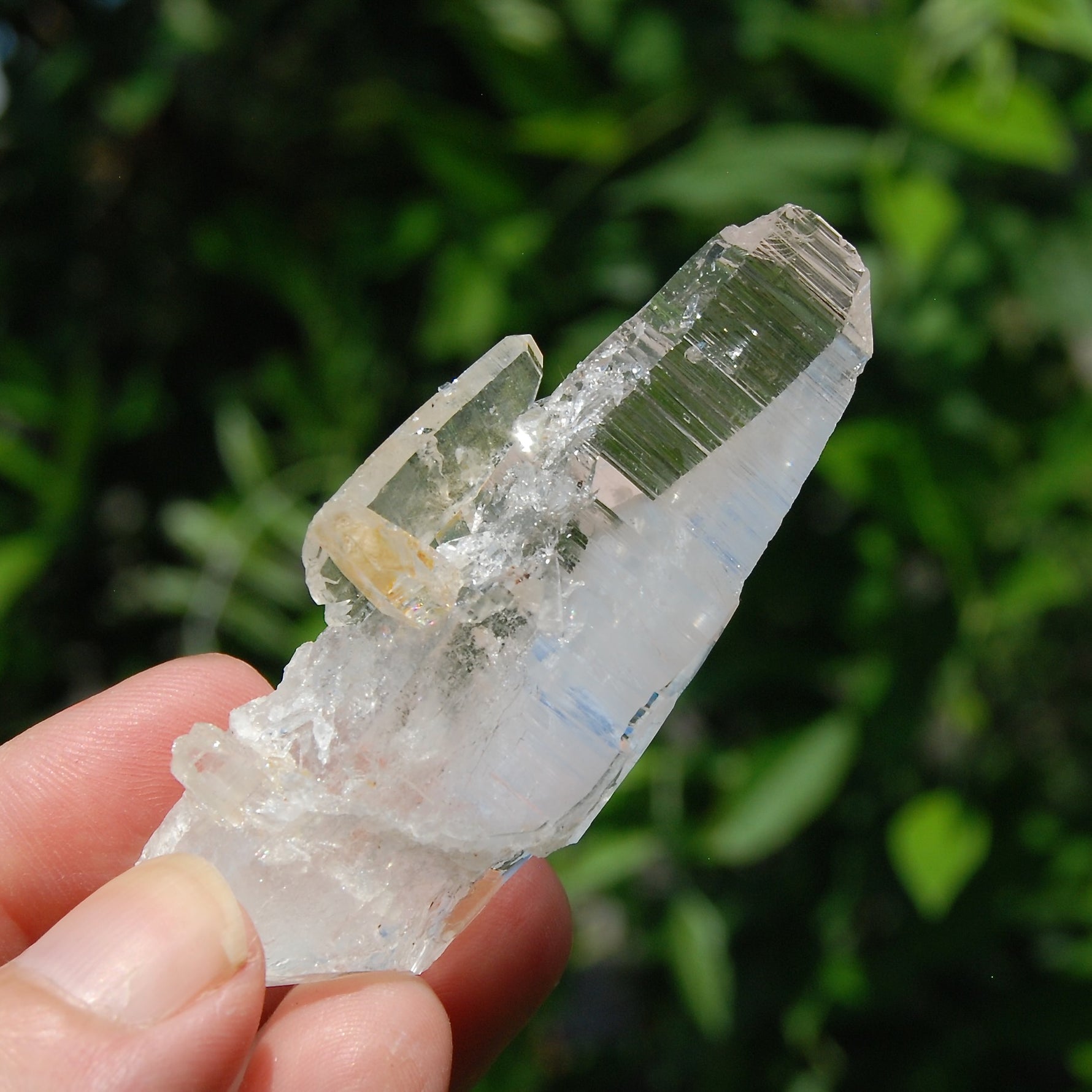 Colombian Lemurian Quartz Crystal 
