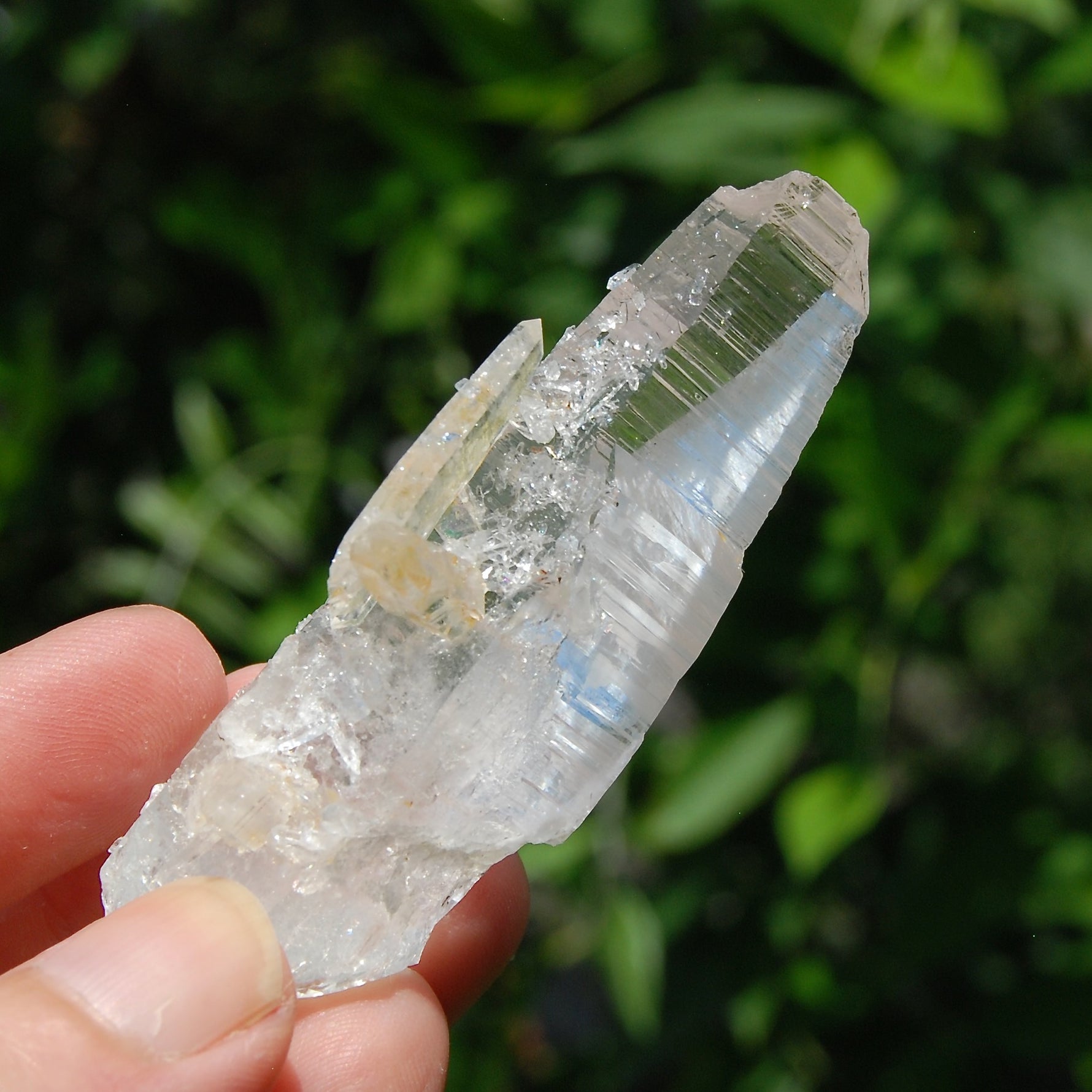 Colombian Lemurian Quartz Crystal 