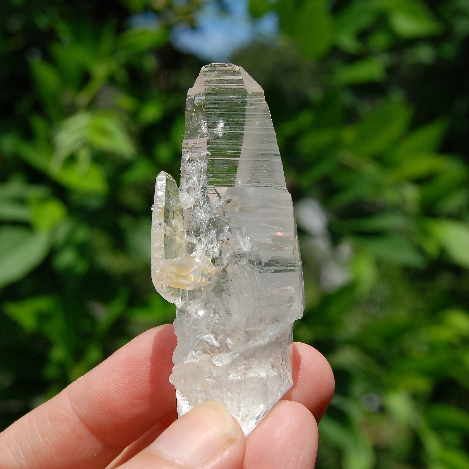Colombian Lemurian Quartz Crystal 