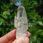Colombian Lemurian Quartz Crystal 