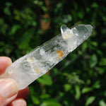 Colombian Lemurian Seed Quartz Crystal