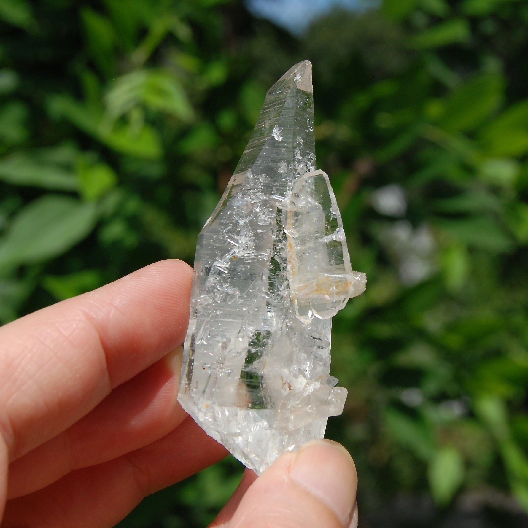 Colombian Lemurian Quartz Crystal 