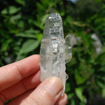 Colombian Lemurian Quartz Crystal 
