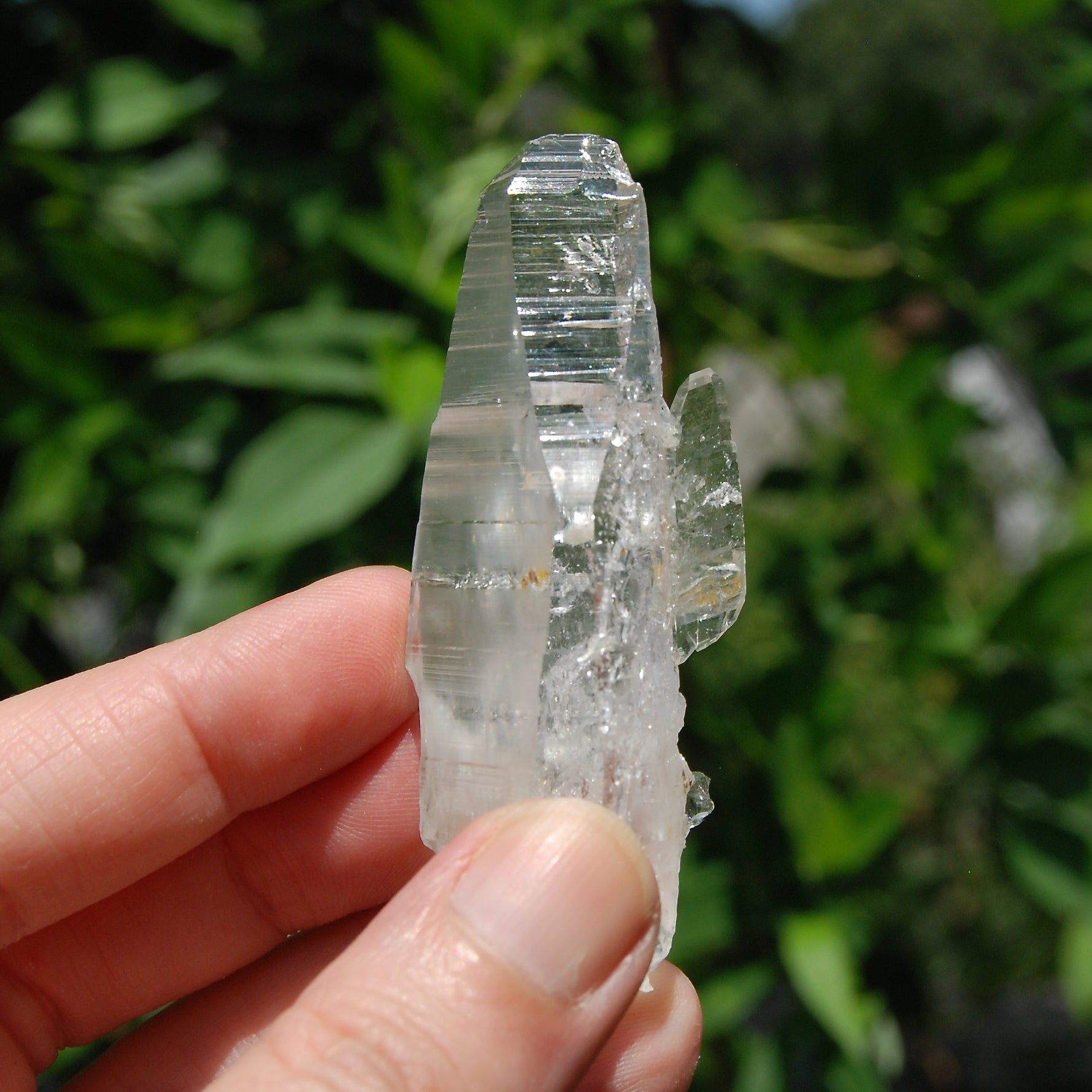 Colombian Lemurian Quartz Crystal 