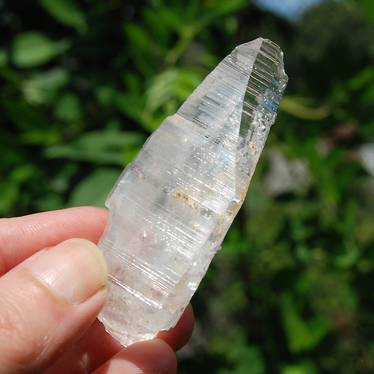 Colombian Lemurian Quartz Crystal 