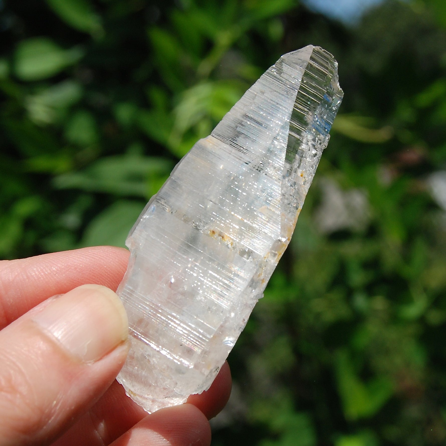 Colombian Lemurian Quartz Crystal 