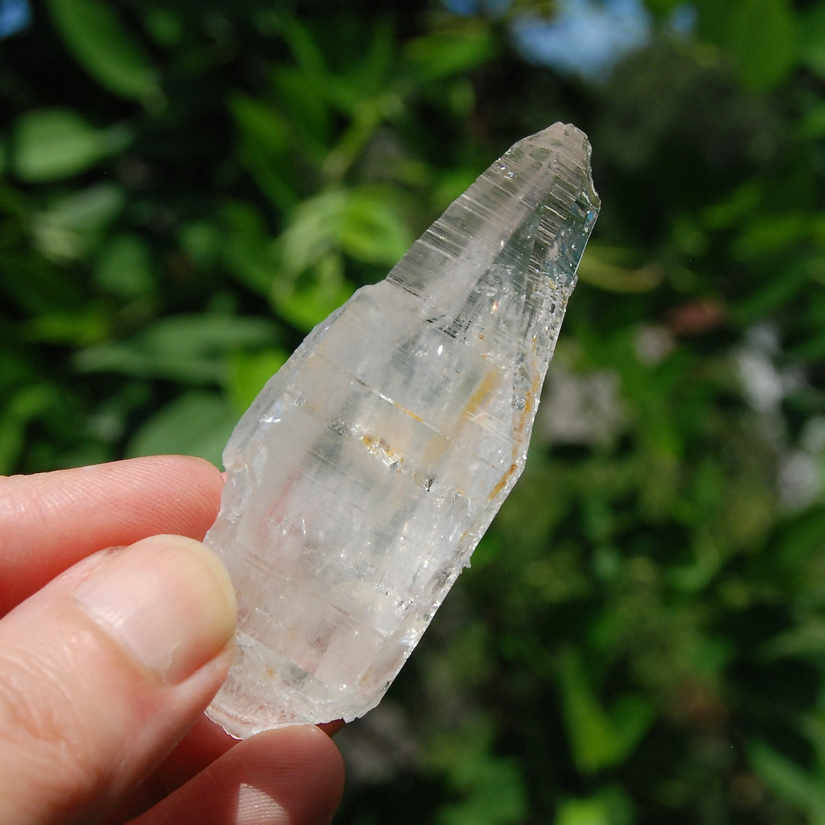 Colombian Lemurian Quartz Crystal 