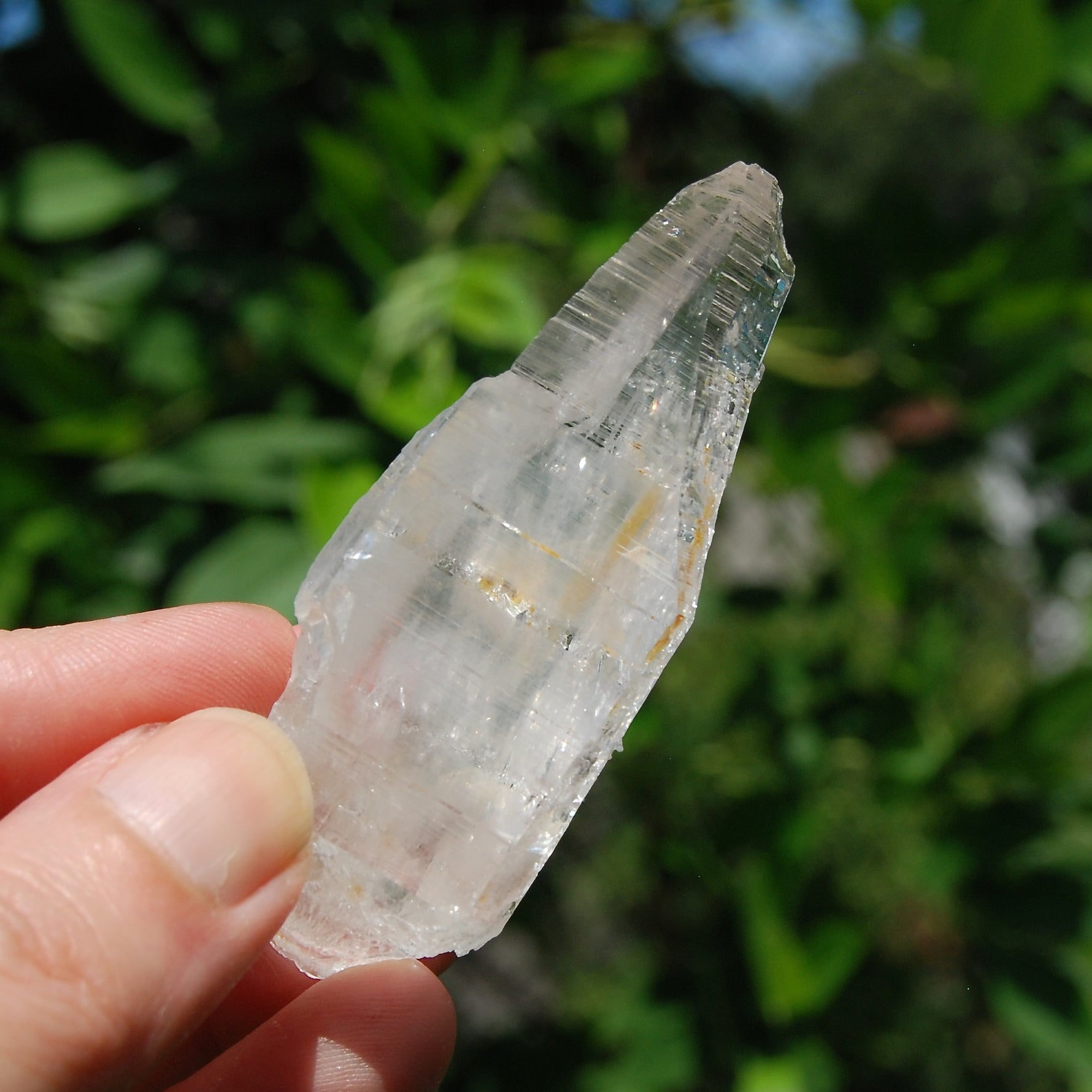 Colombian Lemurian Quartz Crystal 