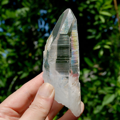 Large Lemurian Seed Quartz Crystal Laser Starbary, Record Keeper Golden Healer Veil, Peñas Blancas, Colombia