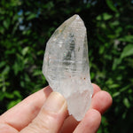 3in DT Lemurian Seed Quartz Crystal Laser Starbary, Internal Rainbows, Self Healed, Peñas Blancas, Colombia