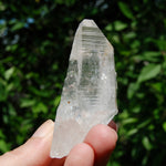 3in DT Lemurian Seed Quartz Crystal Laser Starbary, Internal Rainbows, Self Healed, Peñas Blancas, Colombia