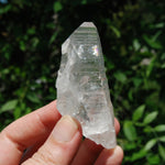 3in DT Lemurian Seed Quartz Crystal Laser Starbary, Internal Rainbows, Self Healed, Peñas Blancas, Colombia