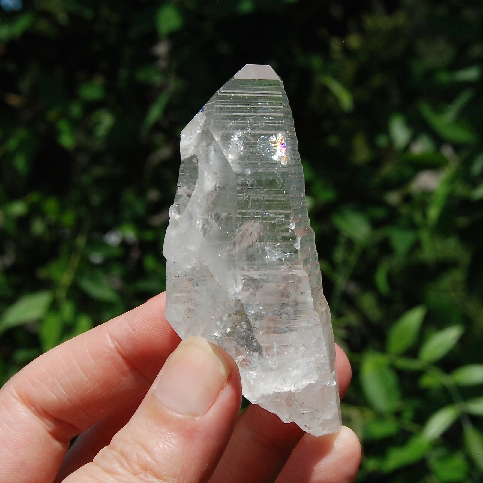3in DT Lemurian Seed Quartz Crystal Laser Starbary, Internal Rainbows, Self Healed, Peñas Blancas, Colombia