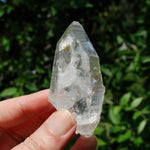 3in DT Lemurian Seed Quartz Crystal Laser Starbary, Internal Rainbows, Self Healed, Peñas Blancas, Colombia