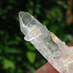 Colombian Lemurian Seed Quartz Crystal