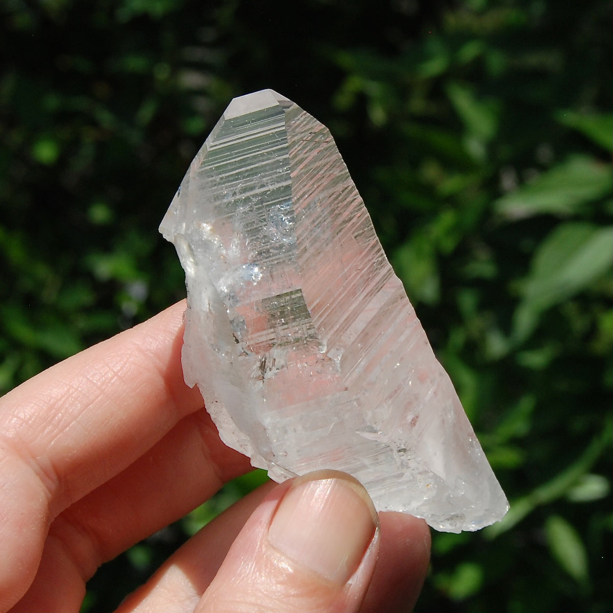 3in DT Lemurian Seed Quartz Crystal Laser Starbary, Internal Rainbows, Self Healed, Peñas Blancas, Colombia