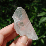 3in DT Lemurian Seed Quartz Crystal Laser Starbary, Internal Rainbows, Self Healed, Peñas Blancas, Colombia