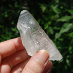 3in DT Lemurian Seed Quartz Crystal Laser Starbary, Internal Rainbows, Self Healed, Peñas Blancas, Colombia