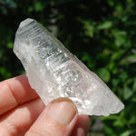 3in DT Lemurian Seed Quartz Crystal Laser Starbary, Internal Rainbows, Self Healed, Peñas Blancas, Colombia