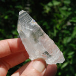 3in DT Lemurian Seed Quartz Crystal Laser Starbary, Internal Rainbows, Self Healed, Peñas Blancas, Colombia