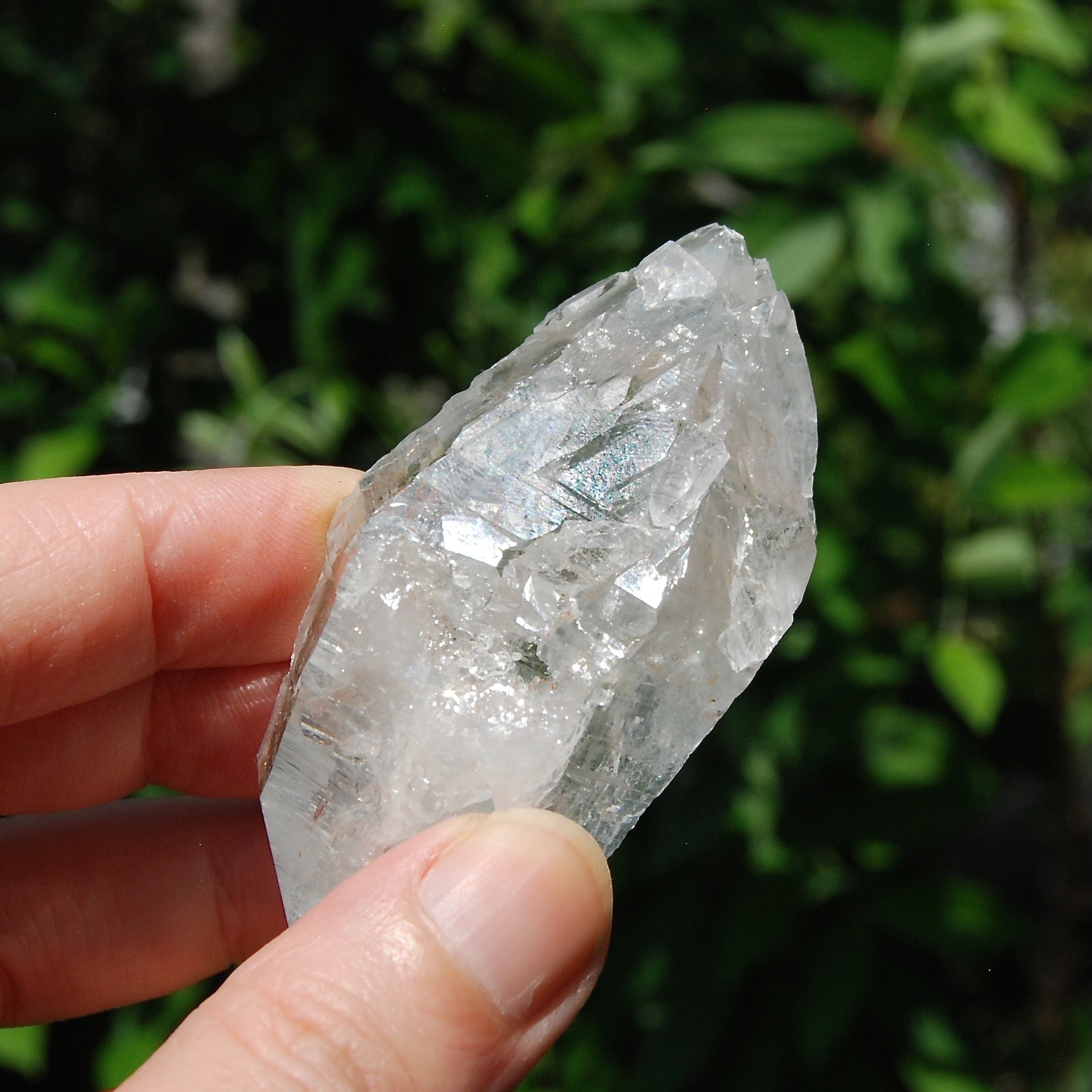 3in DT Lemurian Seed Quartz Crystal Laser Starbary, Internal Rainbows, Self Healed, Peñas Blancas, Colombia