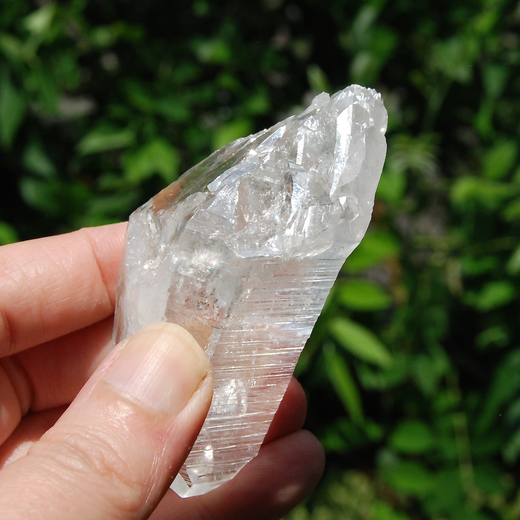 3in DT Lemurian Seed Quartz Crystal Laser Starbary, Internal Rainbows, Self Healed, Peñas Blancas, Colombia