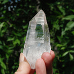 DT Lemurian Seed Quartz Crystal Laser Starbary, Trigonic Record Keeper, Peñas Blancas, Colombia 