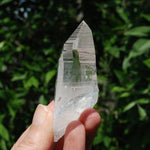 DT Lemurian Seed Quartz Crystal Laser Starbary, Trigonic Record Keeper, Peñas Blancas, Colombia 
