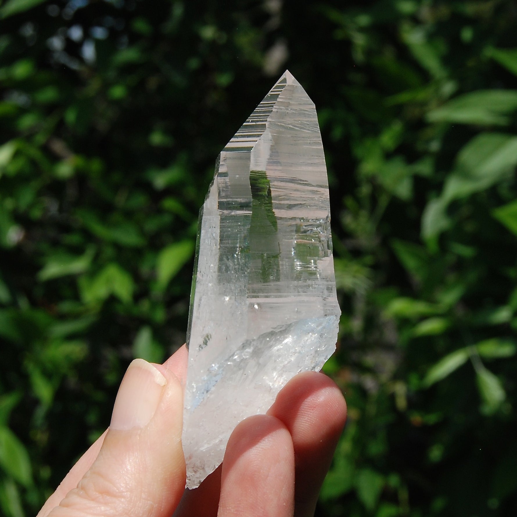 DT Lemurian Seed Quartz Crystal Laser Starbary, Trigonic Record Keeper, Peñas Blancas, Colombia 