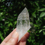 DT Lemurian Seed Quartz Crystal Laser Starbary, Trigonic Record Keeper, Peñas Blancas, Colombia