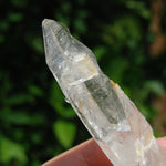 Colombian Lemurian Seed Quartz Crystal