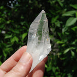 DT Lemurian Seed Quartz Crystal Laser Starbary, Trigonic Record Keeper, Peñas Blancas, Colombia