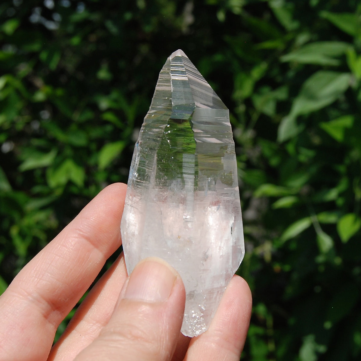 DT Lemurian Seed Quartz Crystal Laser Starbary, Trigonic Record Keeper, Peñas Blancas, Colombia 