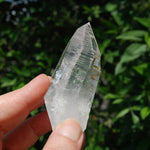 DT Lemurian Seed Quartz Crystal Laser Starbary, Trigonic Record Keeper, Peñas Blancas, Colombia