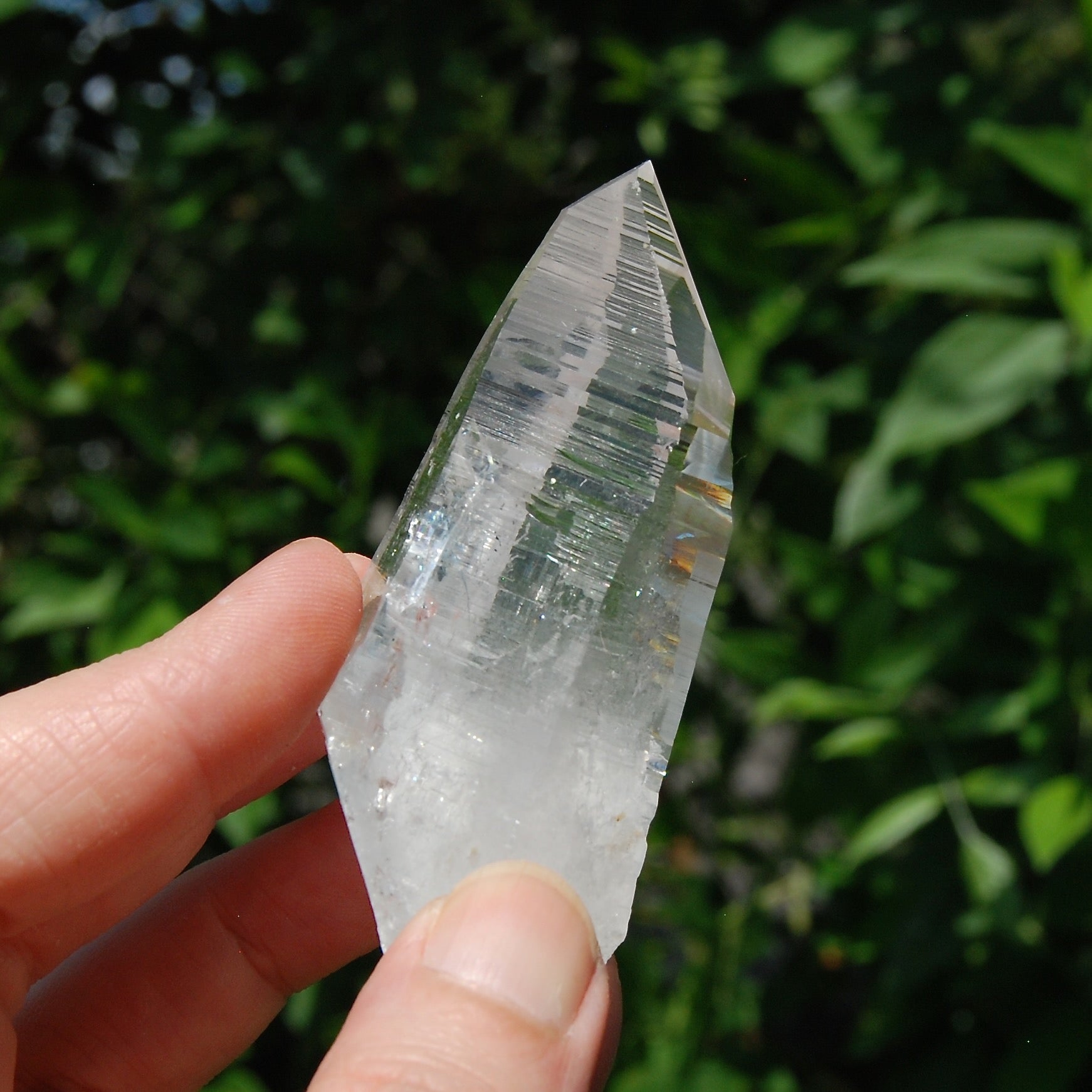 DT Lemurian Seed Quartz Crystal Laser Starbary, Trigonic Record Keeper, Peñas Blancas, Colombia