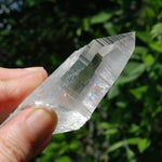 DT Lemurian Seed Quartz Crystal Laser Starbary, Trigonic Record Keeper, Peñas Blancas, Colombia