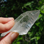 DT Lemurian Seed Quartz Crystal Laser Starbary, Trigonic Record Keeper, Peñas Blancas, Colombia