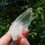 DT Lemurian Seed Quartz Crystal Laser Starbary, Trigonic Record Keeper, Peñas Blancas, Colombia