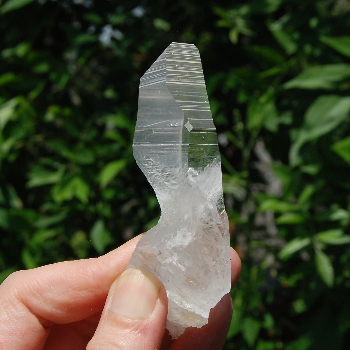 Yin Yang Lemurian Seed Quartz Crystal Devic Temple, High Vibration Optical Quartz, Peñas Blancas, Colombia