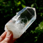 Yin Yang Blades of Light Lemurian Tabby Crystal, Powerful Optical Colombian Quartz