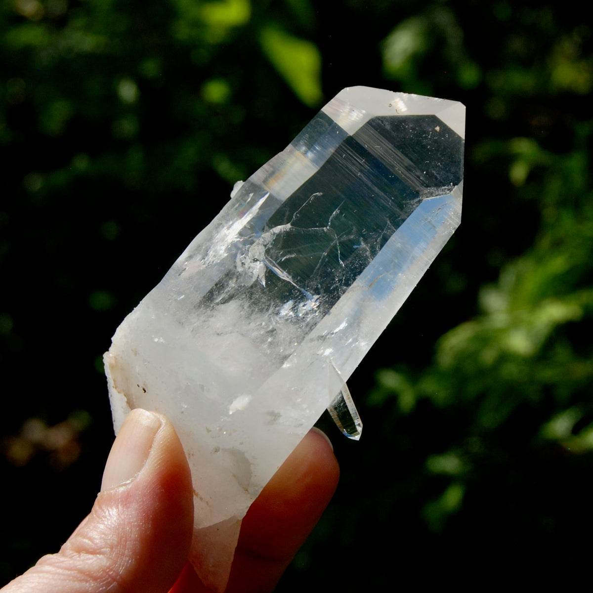 Yin Yang Blades of Light Lemurian Tabby Crystal, Powerful Optical Colombian Quartz