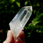 Yin Yang Blades of Light Lemurian Tabby Crystal, Powerful Optical Colombian Quartz