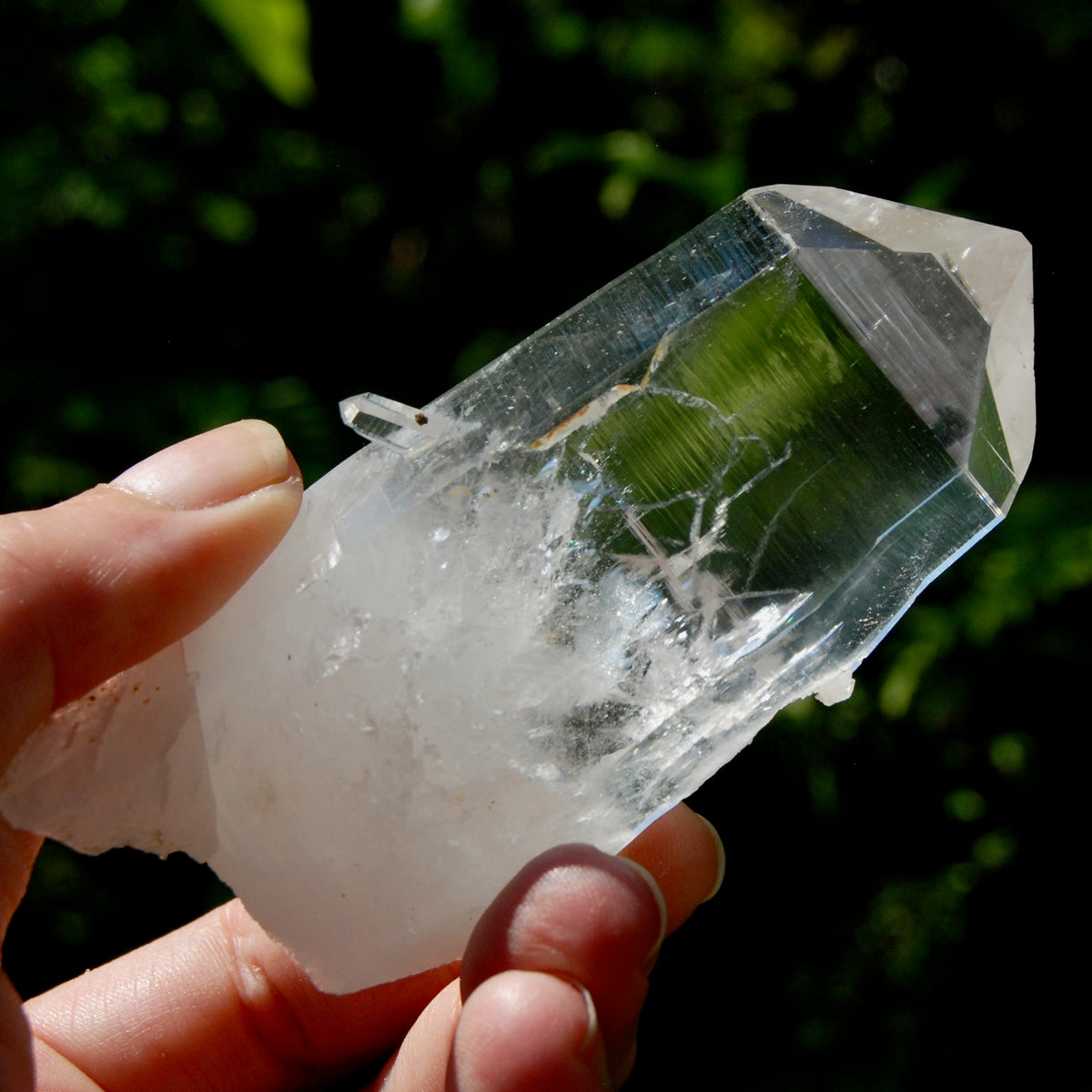 Yin Yang Blades of Light Lemurian Tabby Crystal, Powerful Optical Colombian Quartz