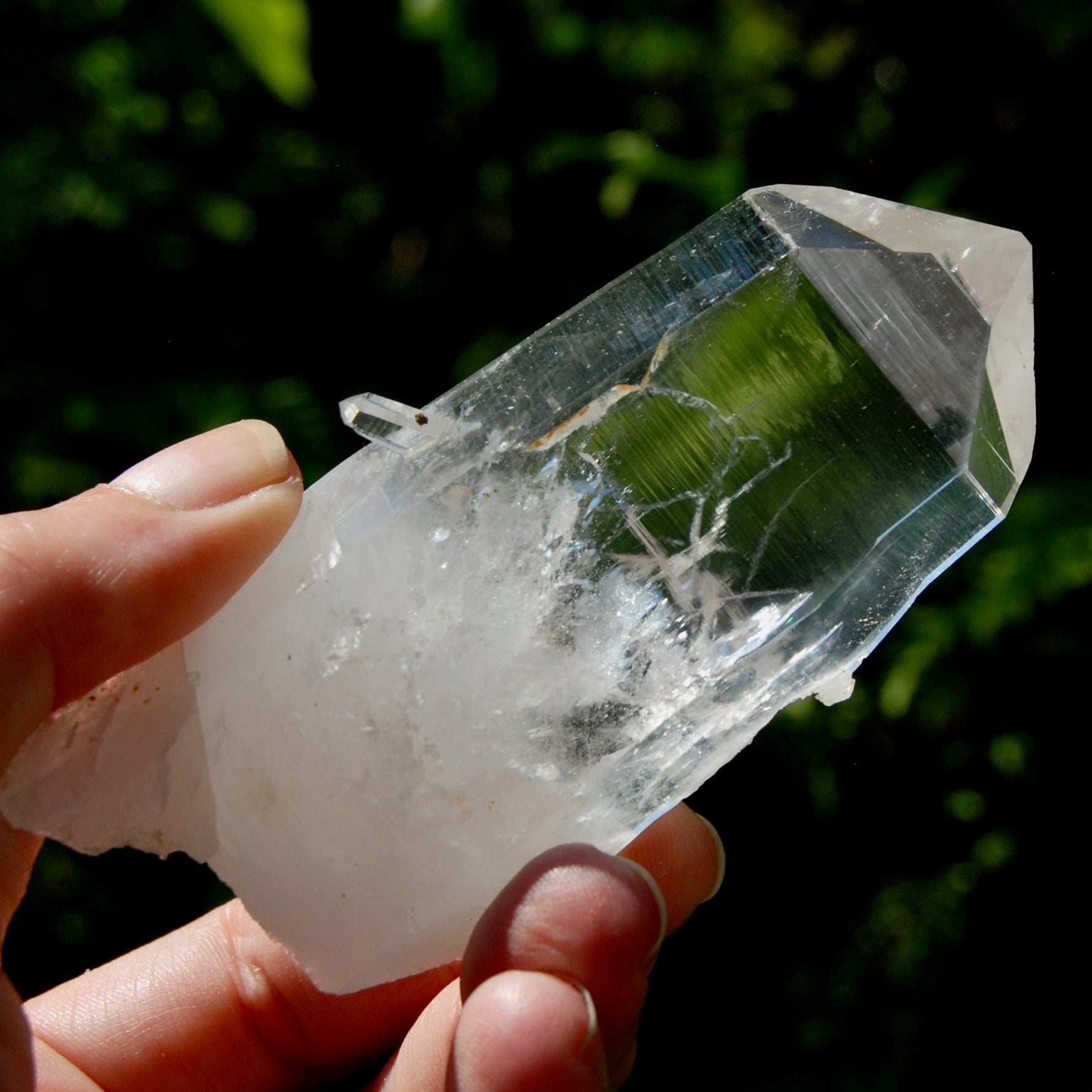 Yin Yang Blades of Light Lemurian Tabby Crystal, Powerful Optical Colombian Quartz
